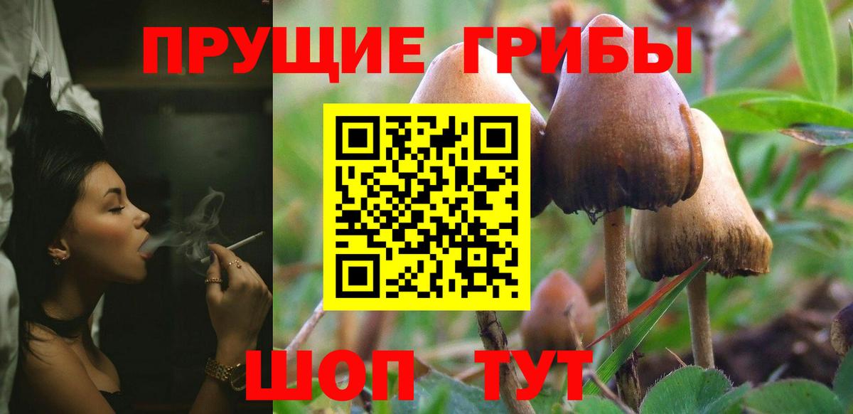 Богородск  Галлюциногенные грибы ЛСД  Вход с VPN 