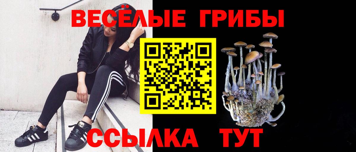 Псилоцибиновые грибы GOLDEN TEACHER Богородск